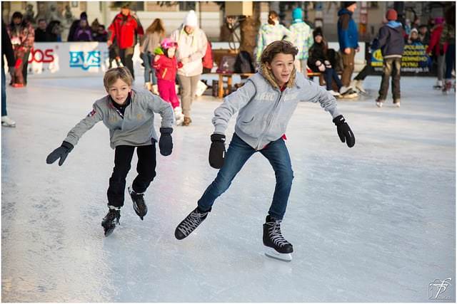 Best Things to Do in Farmington Hills in the Winter