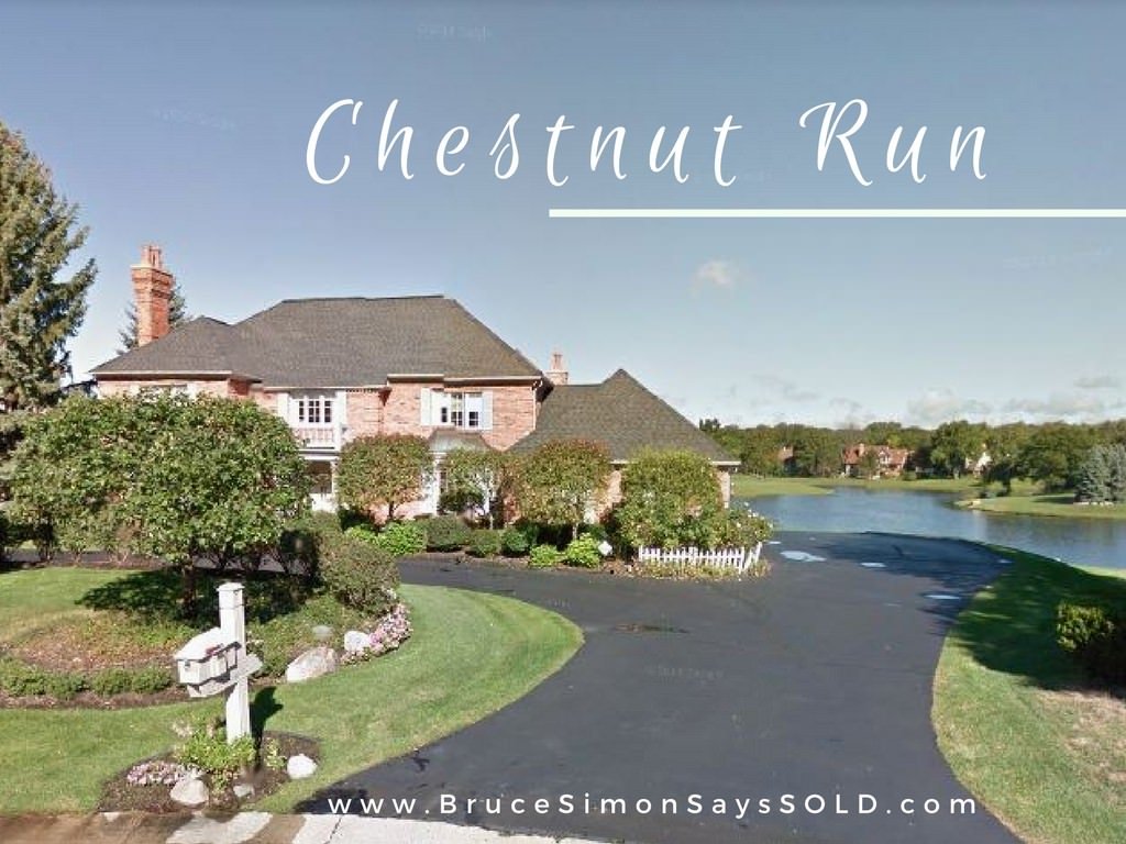 Chestnut Run Homes for Sale