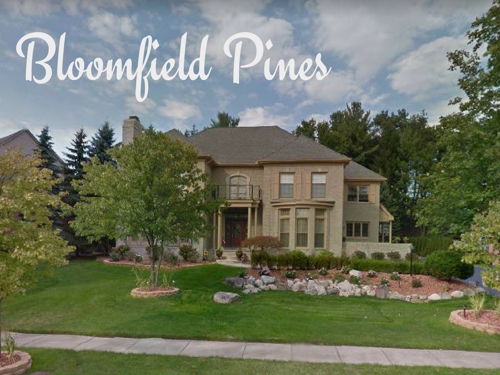 Bloomfield Pines