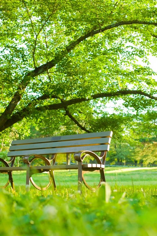 Farmington Hills Real Estate 35 Farmington Hills Real Estate