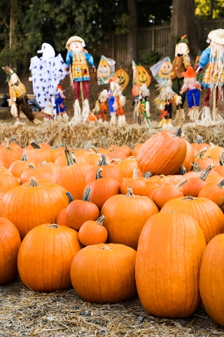 Halloween and Fall Events in Oakland County Michigan 2019