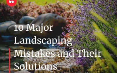 10 Major Landscaping Mistakes and Their Solutions
